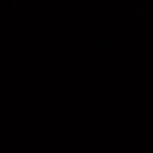 Meet your Posher, Graci